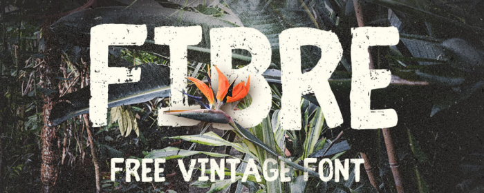 Typographie vintage : Fibre