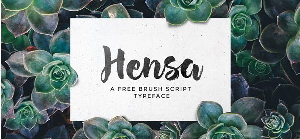 Typographie à la brosse Hensa