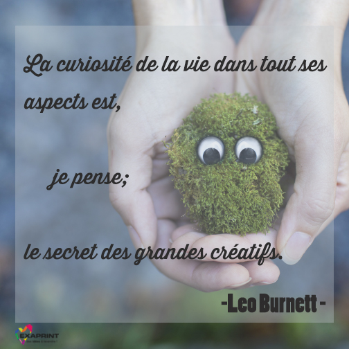 [ #ExaPhrase ] La curiosité de la vie dans tout ses aspects est, je pense, le secret des grands créatifs. Leo Burnett