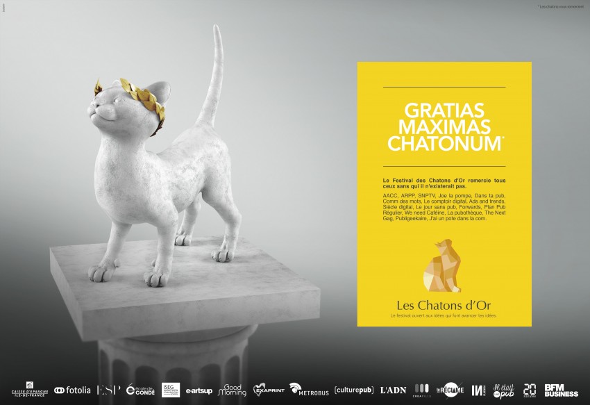 Les-Chatons-dOr-2016-7-850x583