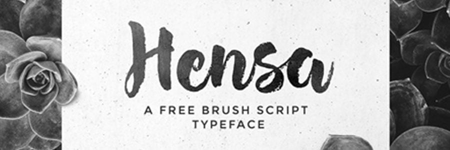 Typographie à la brosse Hensa