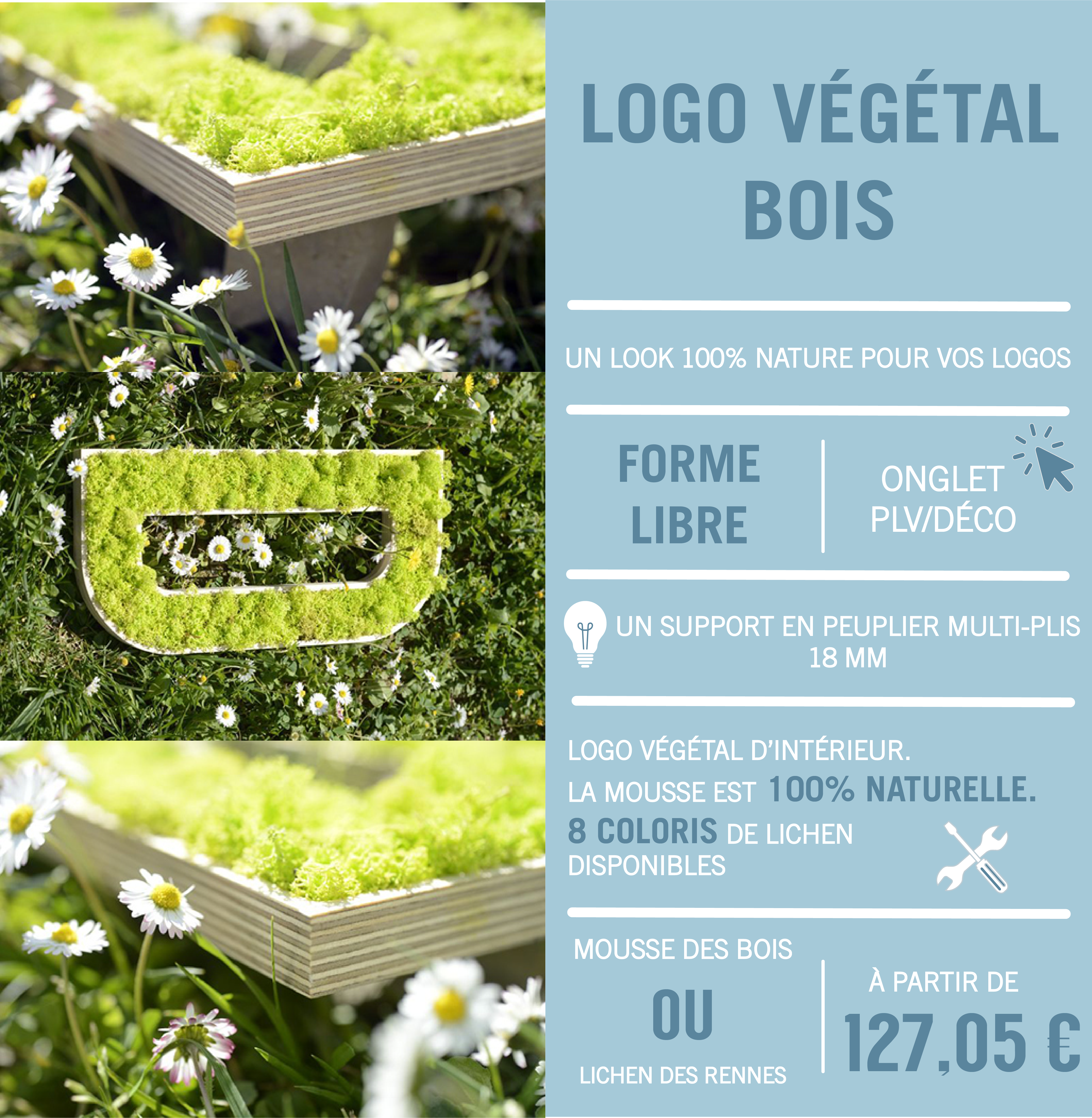 infographie nouveauté logo végétal bois