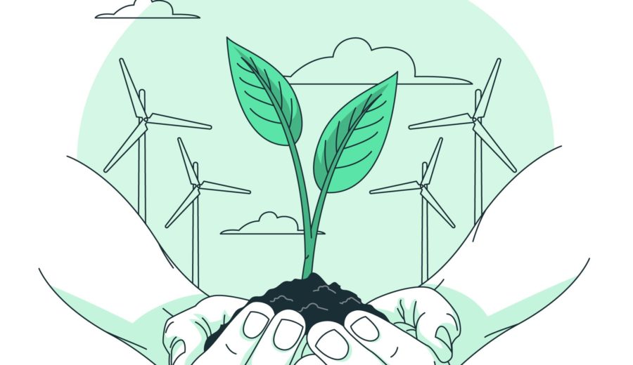 Exaprint vous présente ses produits écoresponsables mains jointes avec plante et éoliennes