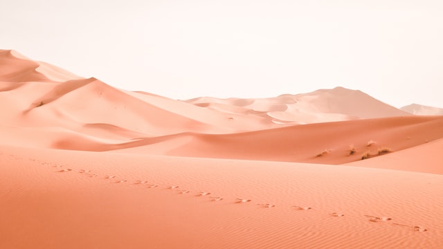photo prise dans le désert et relief des dunes