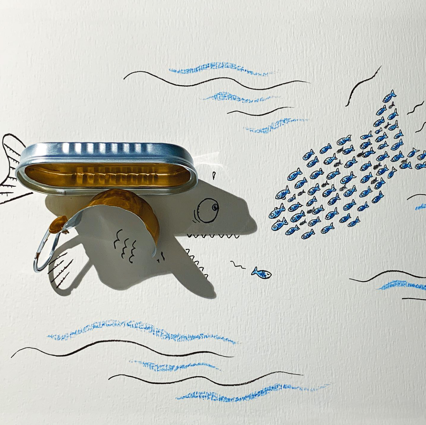 poissons en ombre par Vincent Bal