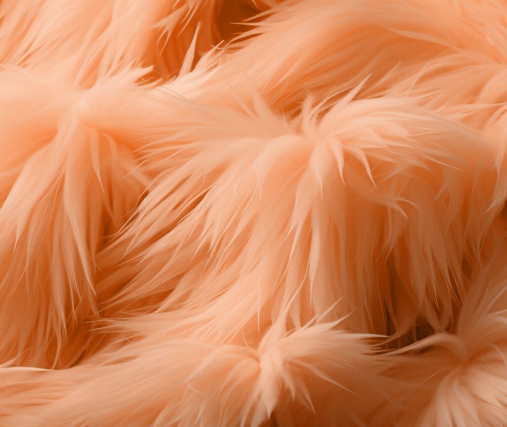 Couleur pantone 2024 découvrez Peach Fuzz Exablog