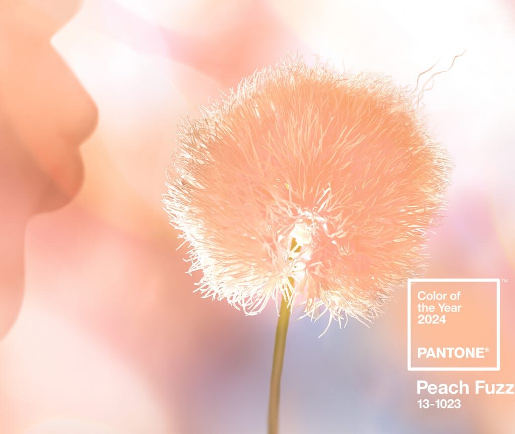 Couleur pantone 2024 découvrez Peach Fuzz Exablog