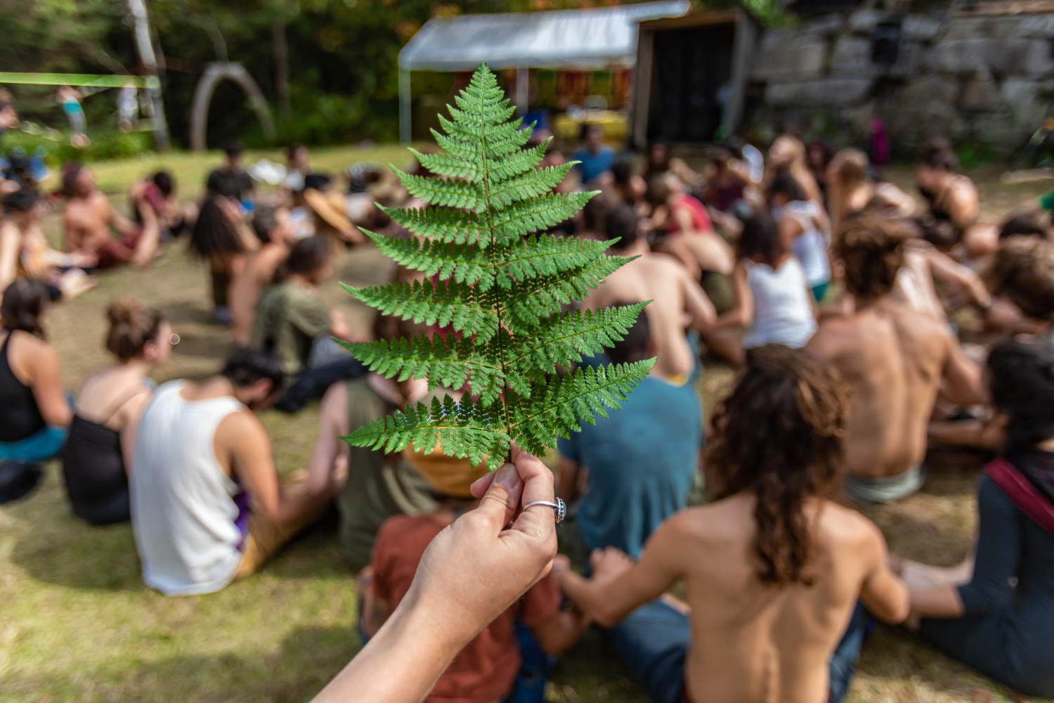 evenement physique ecologie